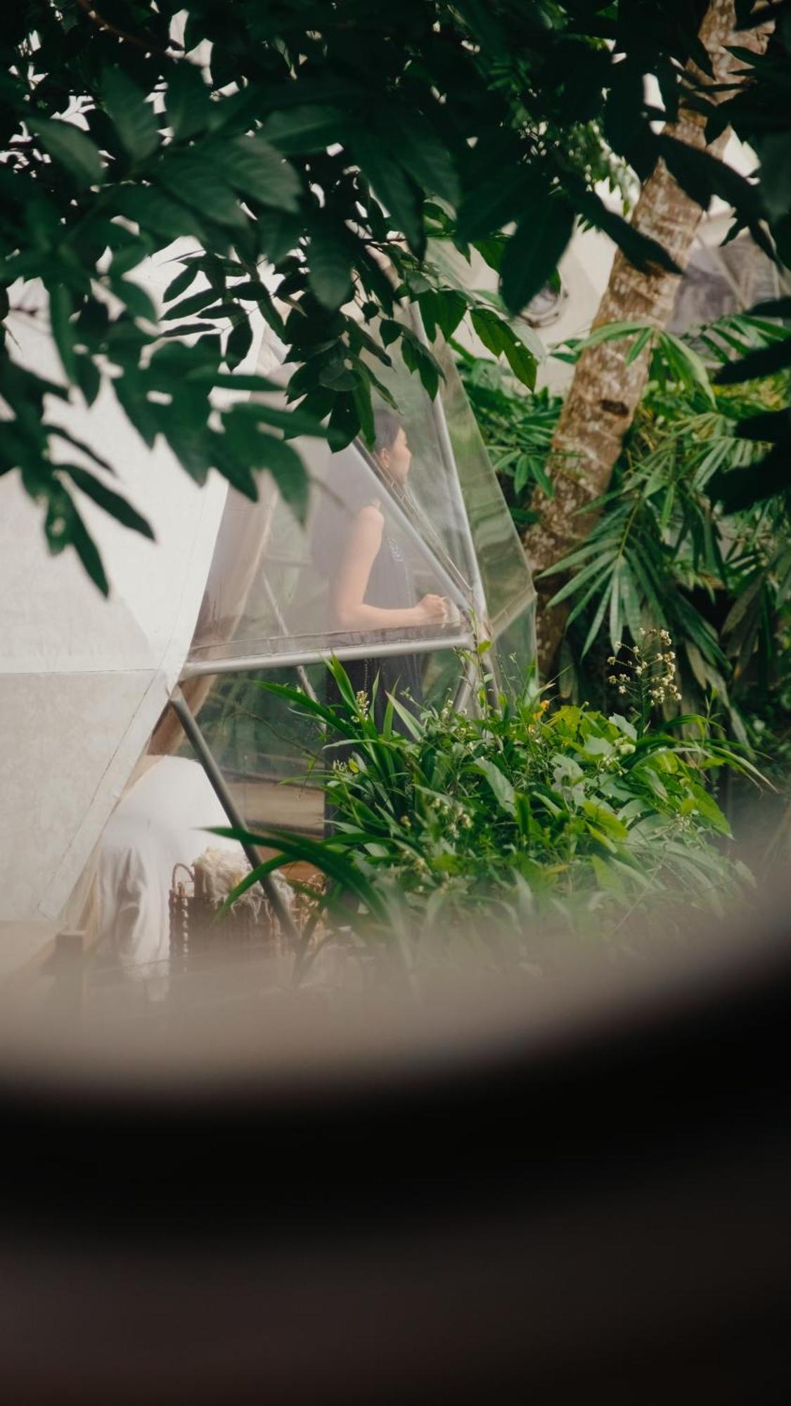 Lintang Luku Tent Resort Ijen, Banyuwangi Banyuwangi  Exterior foto
