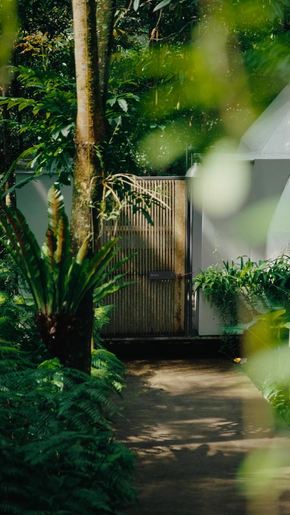 Lintang Luku Tent Resort Ijen, Banyuwangi Banyuwangi  Exterior foto